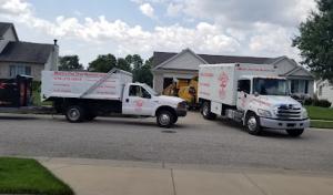 Mark's Professional Tree Service