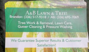 A&B Lawn & Tree