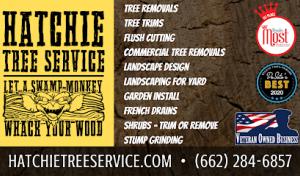 Hatchie Tree Service