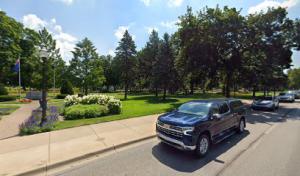 Toad's Tree Services