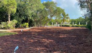 Reef Landscape & Tree Services