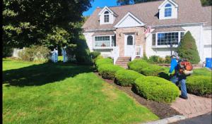 Mike Deckelmann's Landscaping