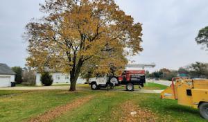 Total Tree Enterprise