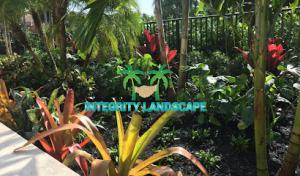 Integrity Landscape & Tree