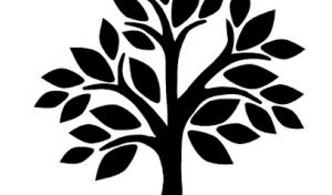 Javier's Tree Service