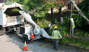 West Orange Landscaping