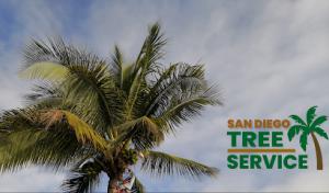 San Diego Tree Service