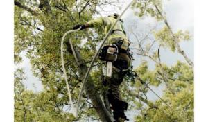 Arbor Source Professional Tree Care