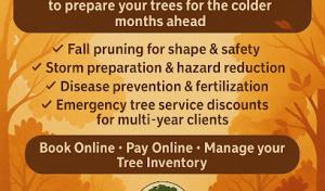 BridgeWood Tree Care