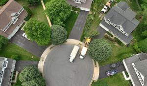 Evergreen Tree Service