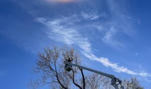 Ames Tree Service