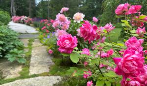 Lovely Earth Gardening