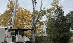 A & E Lawn, Snow & Tree