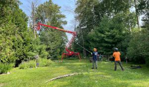 North Country Tree Care | Tree Service for Marquette, Michigan
