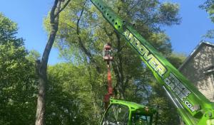 Andover Tree Care