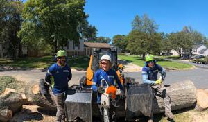 Empire Tree Services