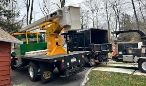 Greenwood Lake Tree Service