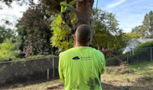 Strunk's Tree Service