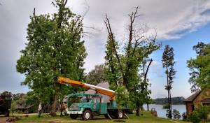 Leonards Tree Service