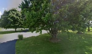 Hicks' Tree Services