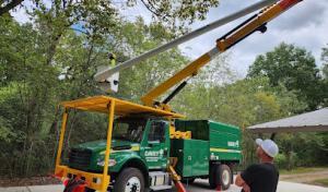 The Davey Tree Expert Company