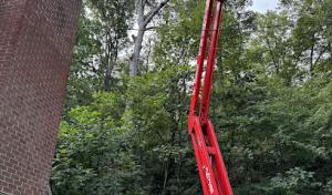 Suburban Tree Experts