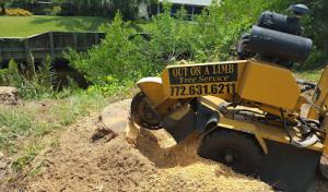 Out On A Limb Tree Service