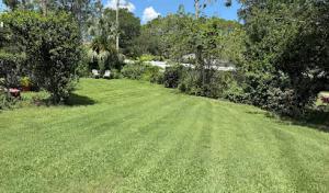 Flagler Trees & LawnService