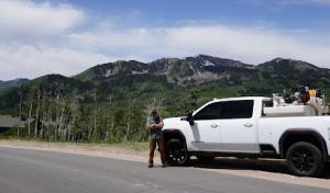 John Walters Expert Arborist