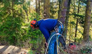 Grounded Tree Service & Excavation