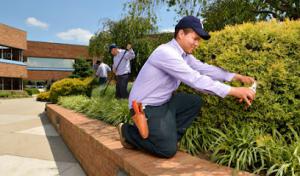 U.S. Lawns - Sacramento