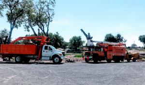 Charles & Charles Tree Service