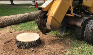 Log King Tree Services Rocklin