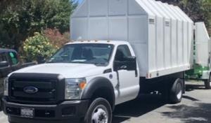 Flores Tree & Landscape