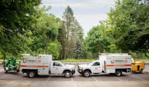 Trees Plus Northwest