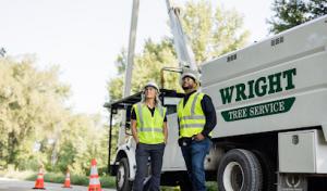 Wright Tree Service