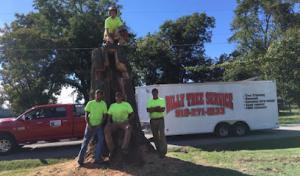 Dilly Tree Service