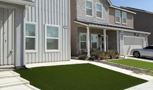 Sanchez Treescape Construction