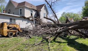 GROOT Tree Service
