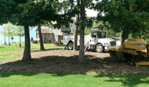 Wilson's Tree Service