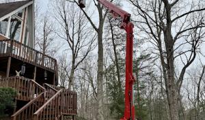Patriot Tree Service
