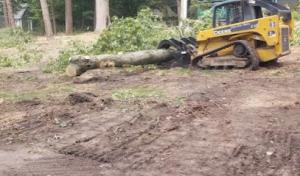 A Halls Tree Service Company