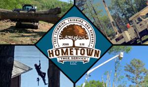 Hometown Tree Service