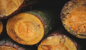 BroadLeaf Tree & Shrub