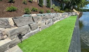 Mr Bill's Land Tree Snow