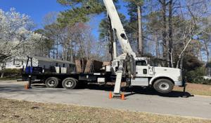 Jackson’s Tree Service