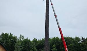 Todd's Tip Top Complete Tree Service - Wausau, WI