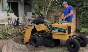Big Dawg Tree Service & Stump Grinding