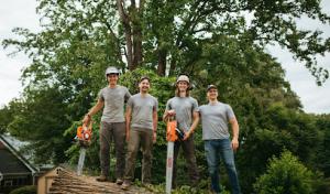 Hyland Arborists