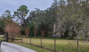 Montero Tree Services